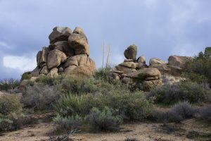 Desert Landscape