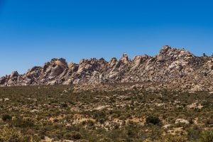 Desert Landscape